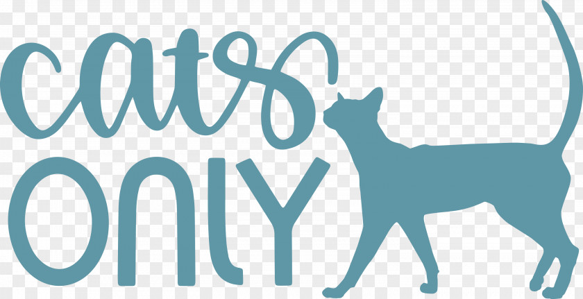 Cats Only Cat PNG