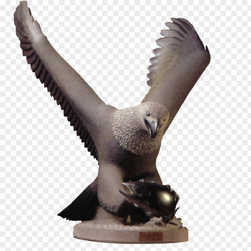 Eagle Scout Badge Sculpture Relief Statue Image PNG