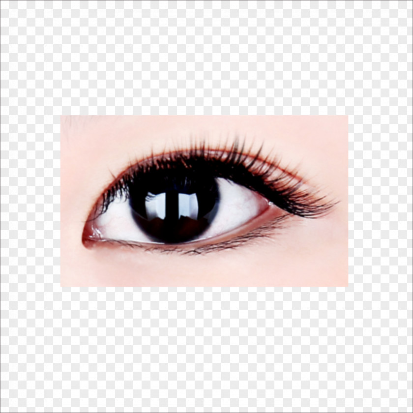 Eye Eyelash Extensions Clip Art PNG