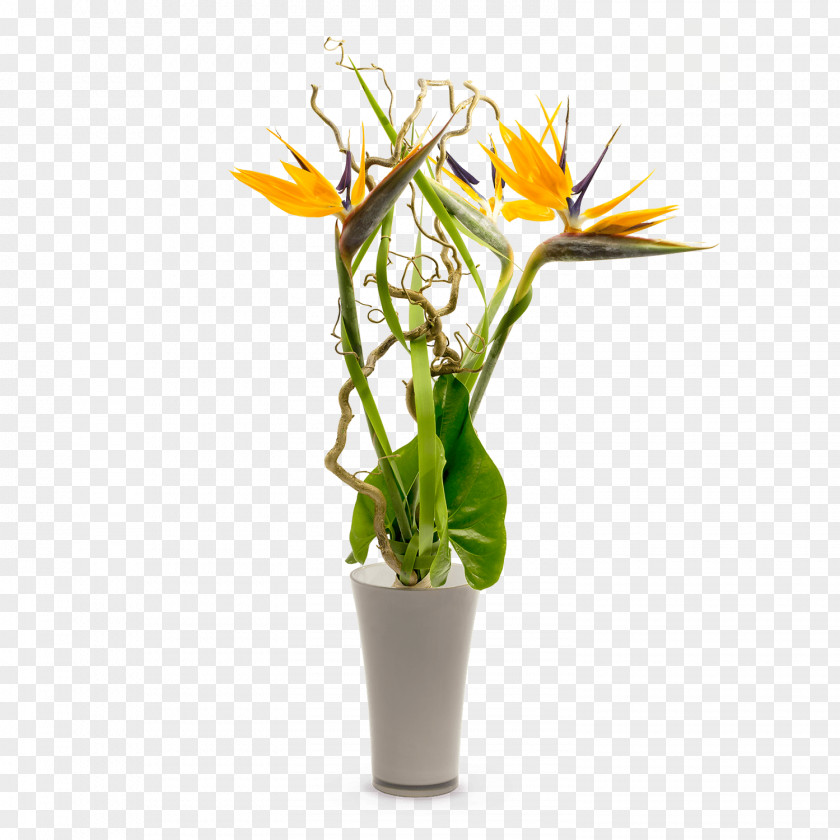 Flower Floral Design Flowerpot Artificial Cut Flowers PNG