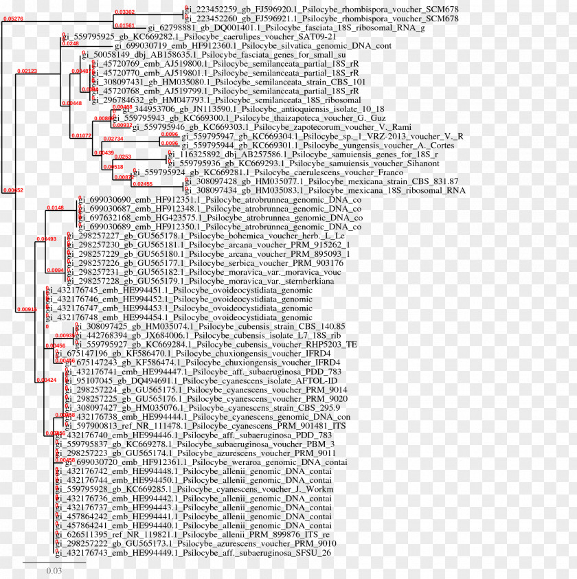 Line Document Angle PNG