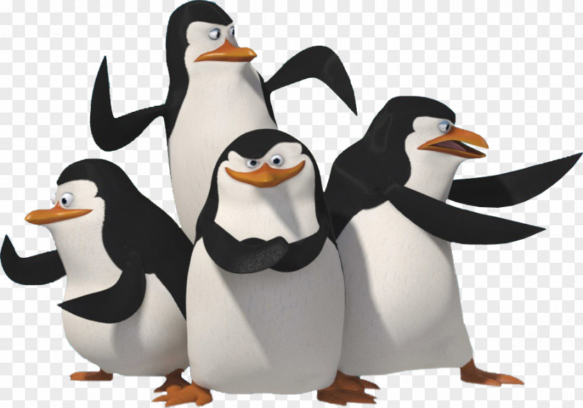 Madagascar Penguins Skipper Penguin DreamWorks Animation PNG
