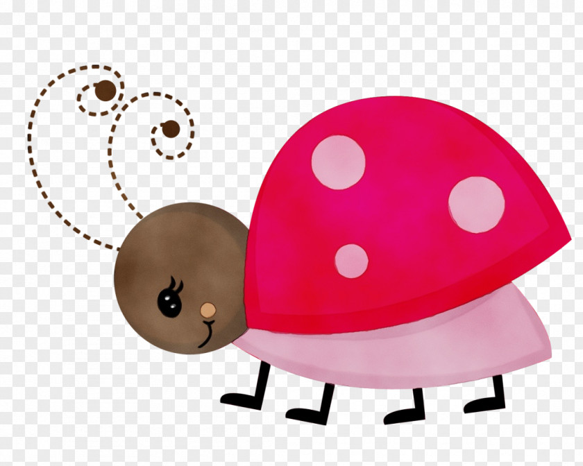 Mushroom Insect Ladybird PNG