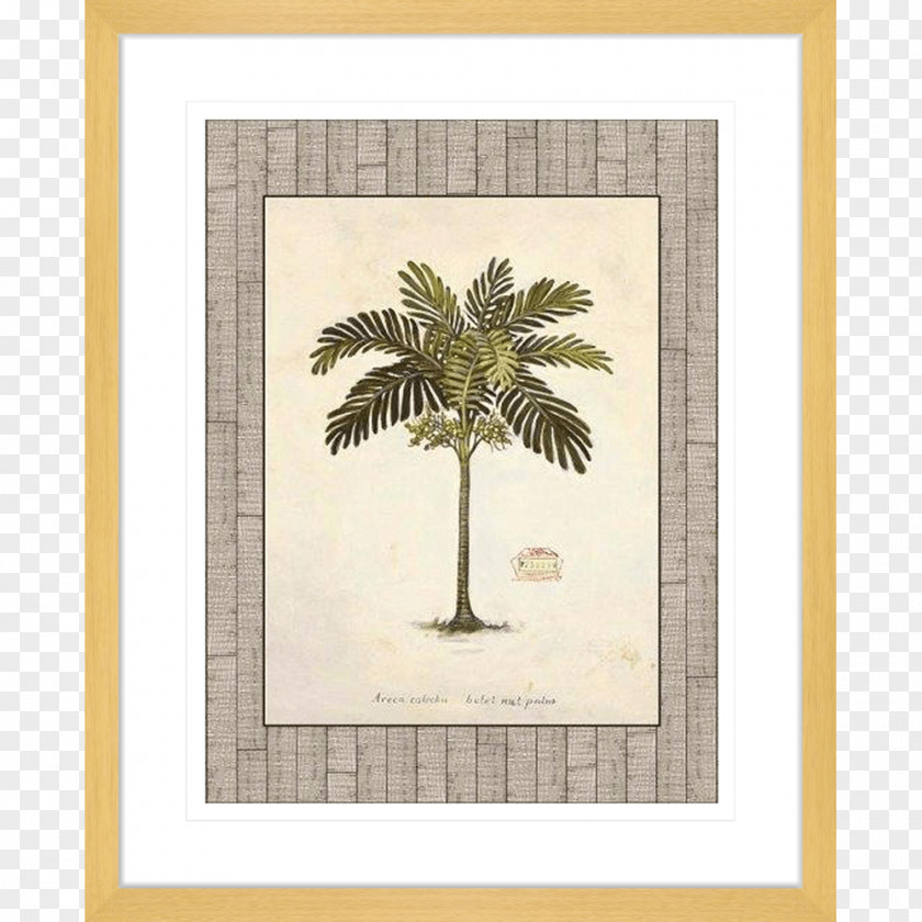 Palm Lead Art Tree Poster Nut PNG