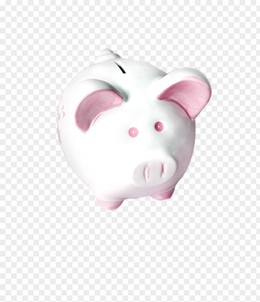 Piggy Bank Adobe Illustrator PNG