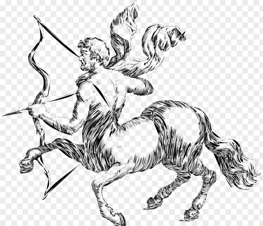 Sagitario Sagittarius Centaur Zodiac Clip Art PNG