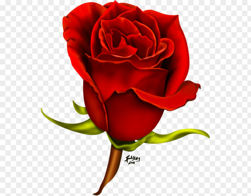 Wedding Cartoon Psd Rose Flower Clip Art PNG