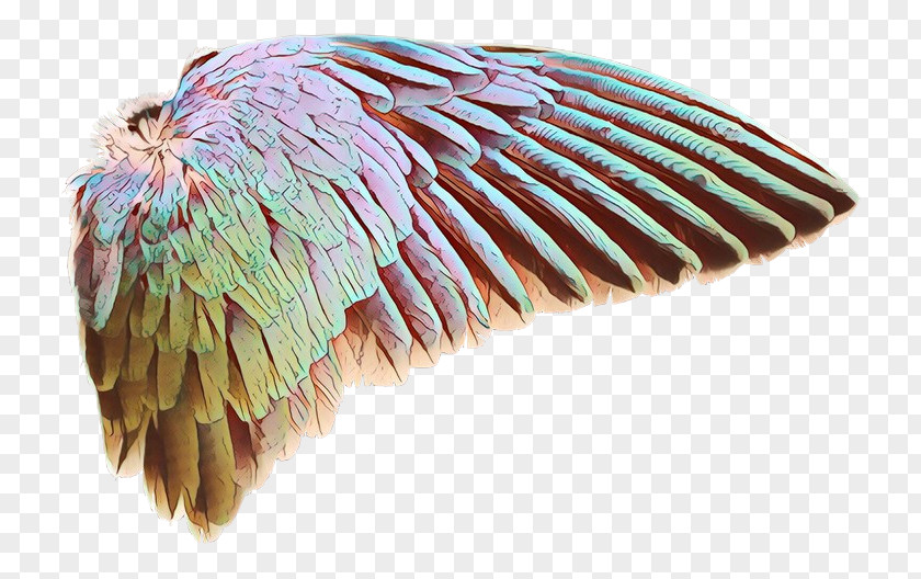 Wool Headgear Beak Feather PNG