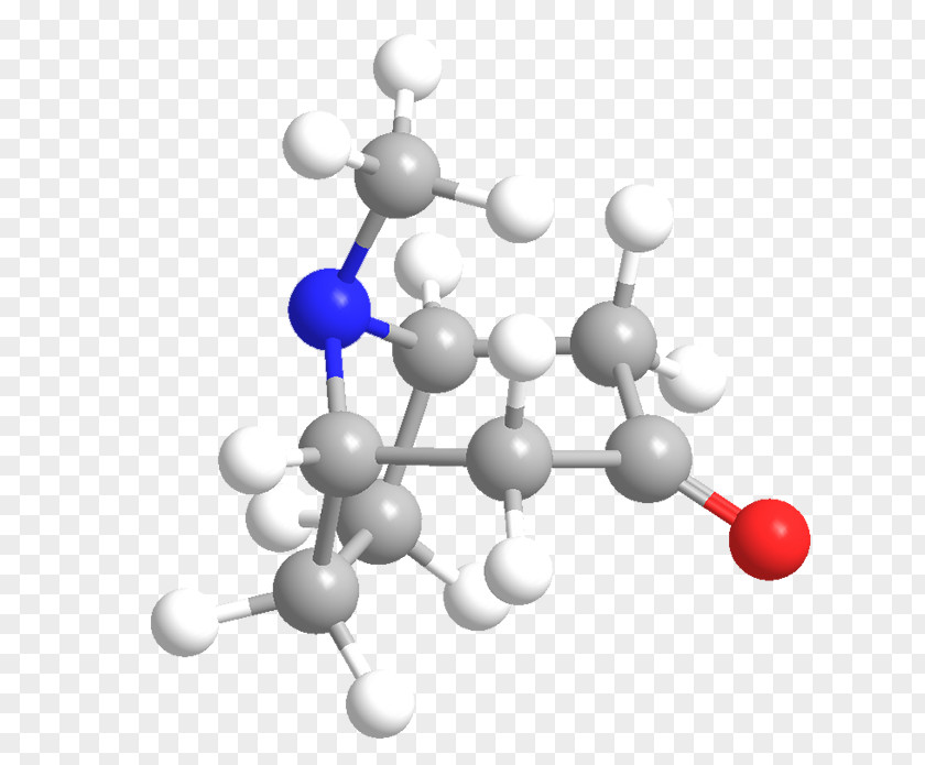 Atropine Chemistry Mandrake Belladonna American Chemical Society PNG