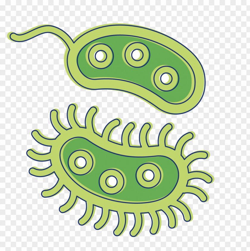 Bacteria Antibiotics Microorganism Clip Art PNG
