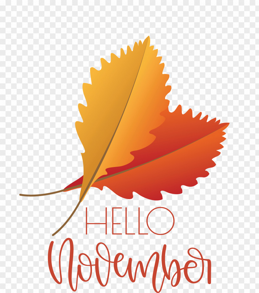 Hello November November PNG