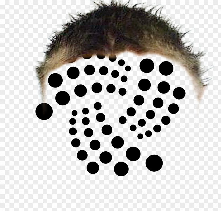 IOTA Distributed Ledger Cryptocurrency Blockchain Altcoins PNG
