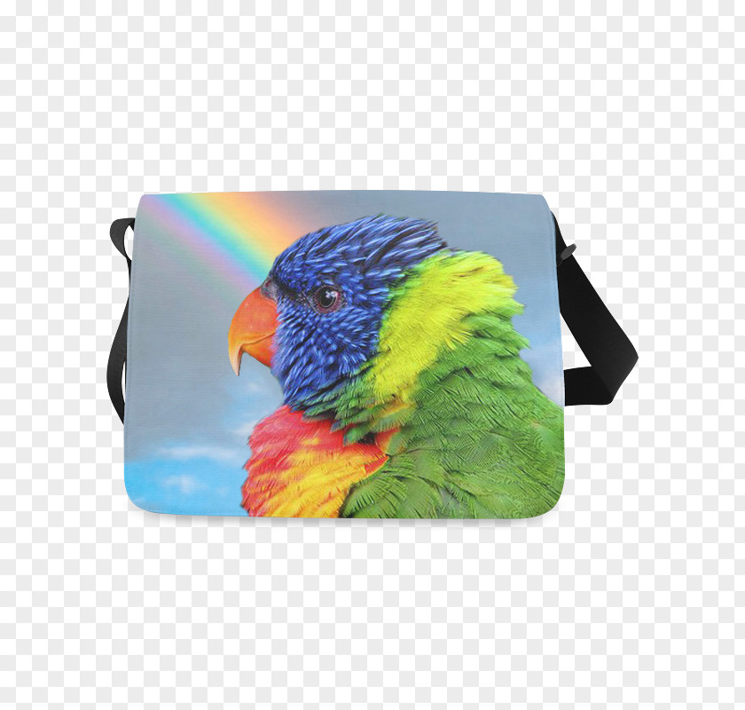 Lories And Lorikeets Loriini Rainbow Lorikeet Budgerigar Cockatiel Bag PNG