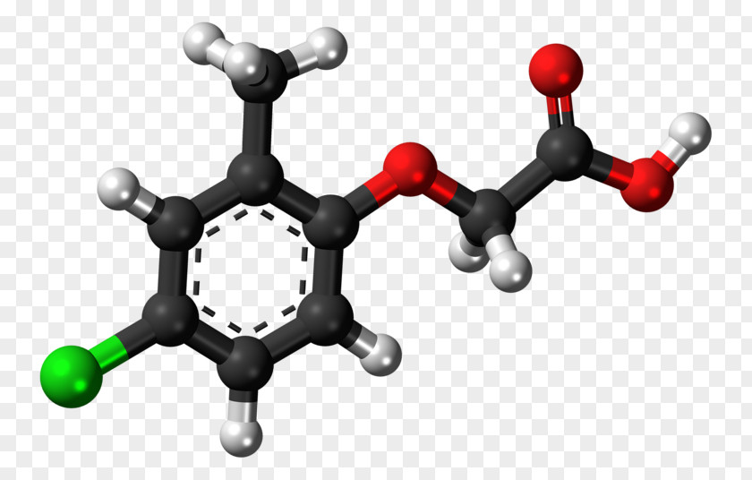 Organic Compound Chemical IUPAC Nomenclature Of Chemistry PNG