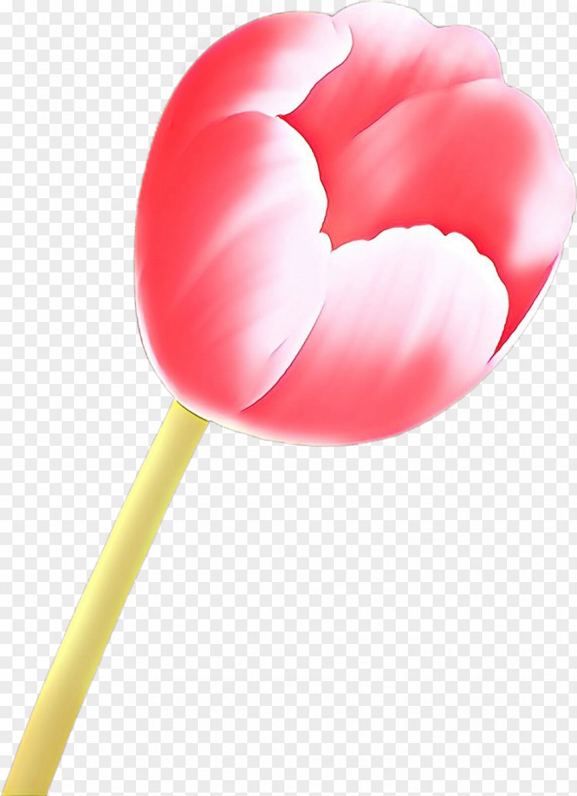 Pink Tulip Petal Plant Heart PNG