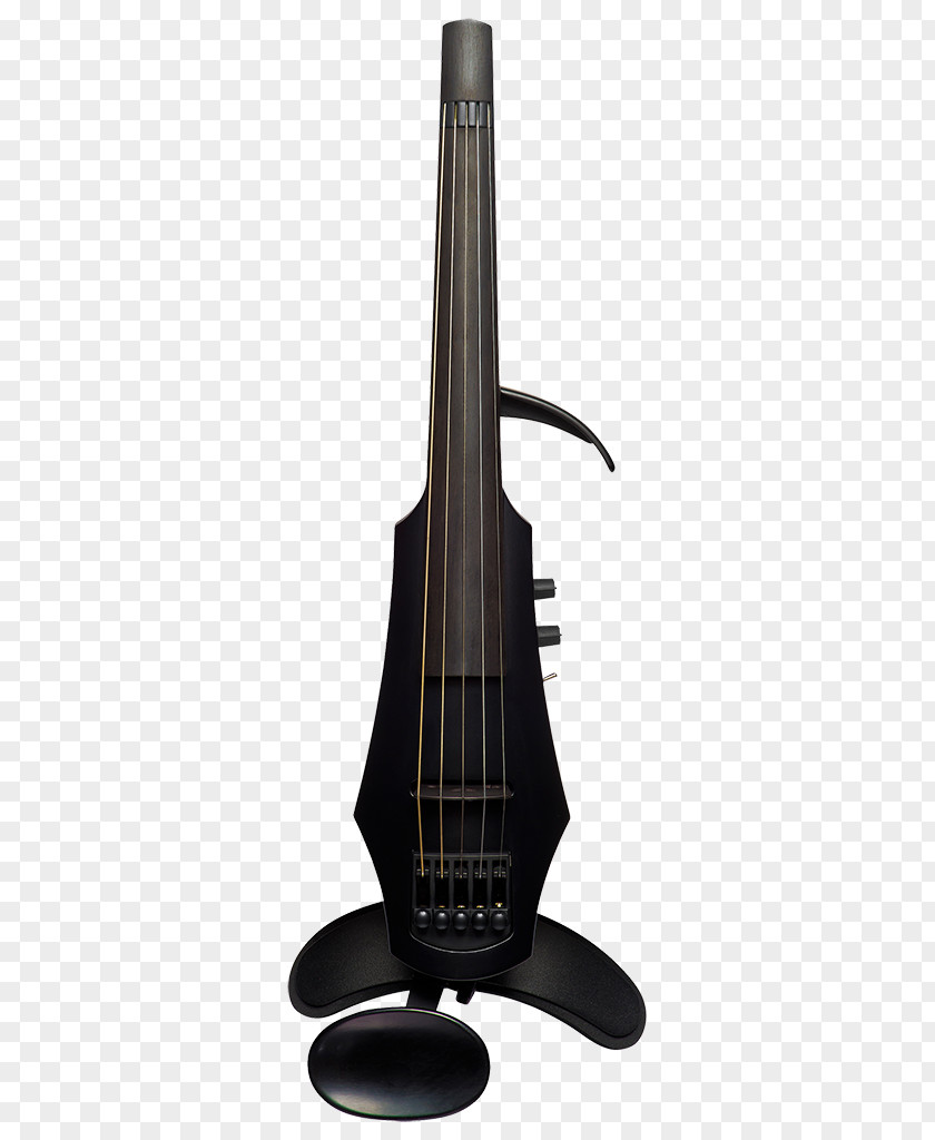 Bass Guitar Electric Violin Fret PNG