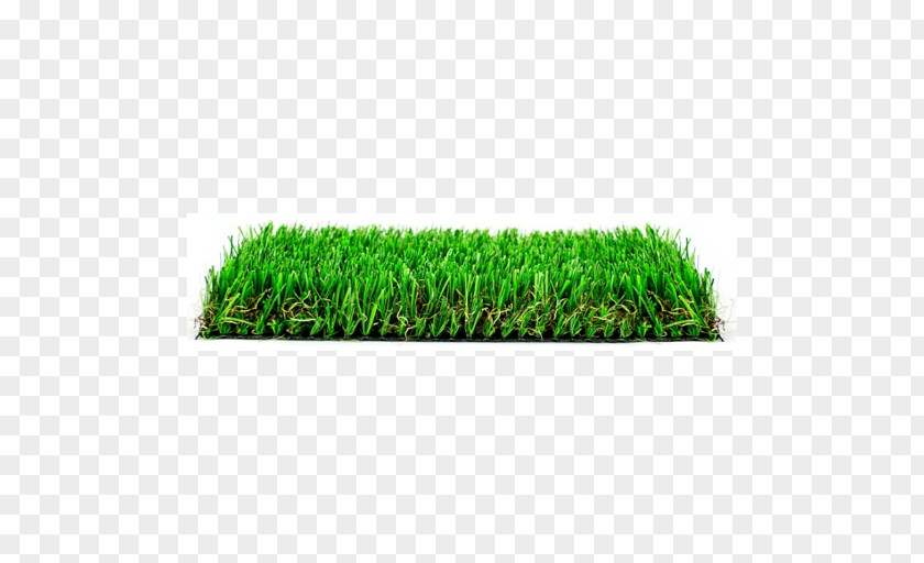 Cesped Artificial Turf Lawn Hue Square Meter Garden PNG