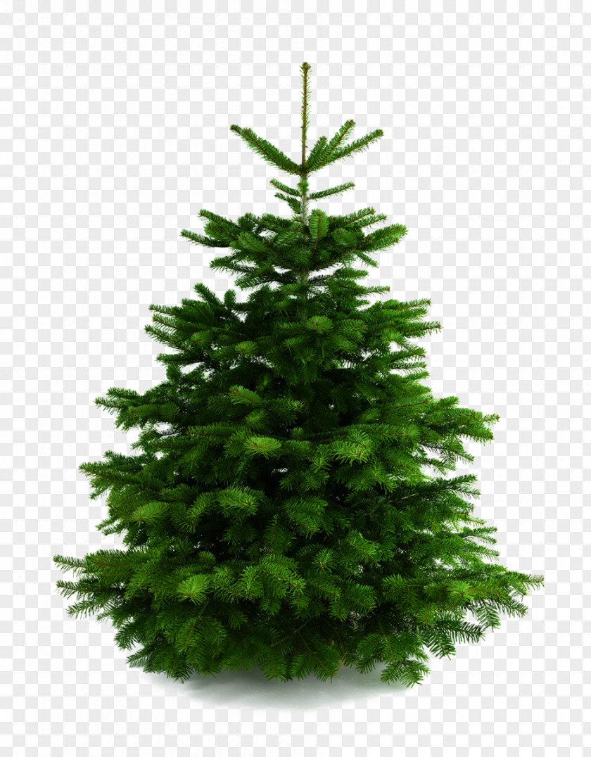 Christmas Tree Ornament Stock Photography PNG