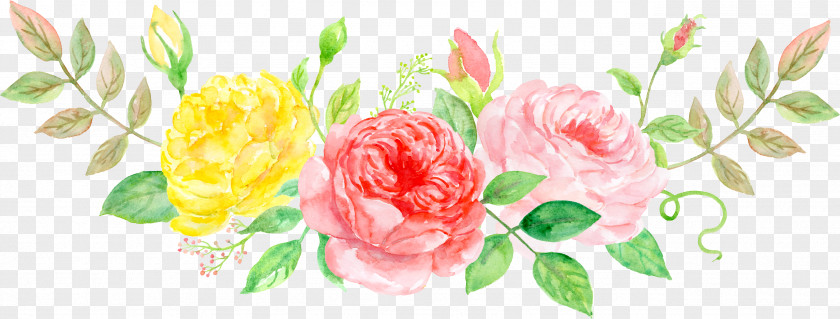 Elegant Peony Flower Watercolor Painting PNG