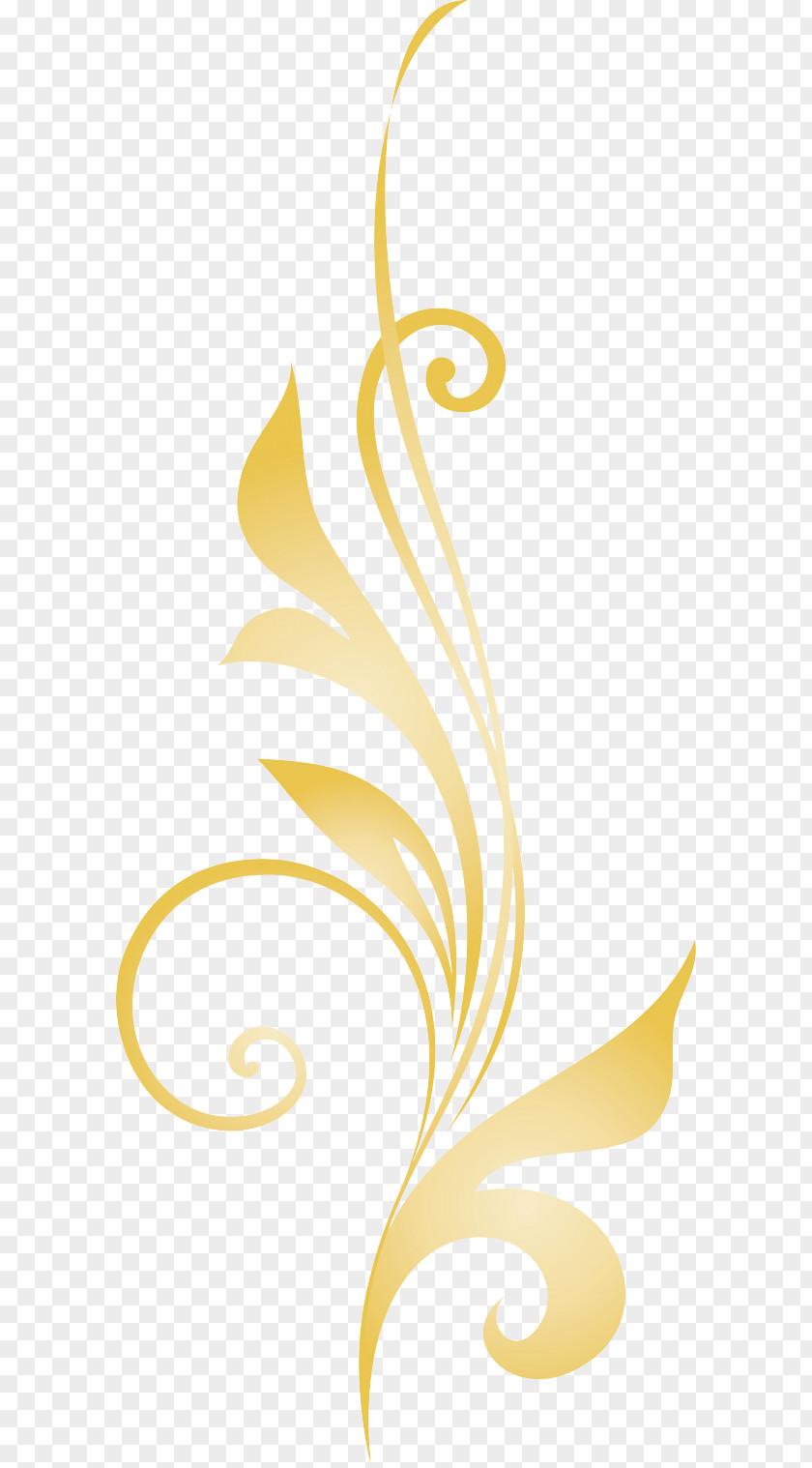 Feo Sign Petal Yellow Spanish Language Romancero Leaf PNG