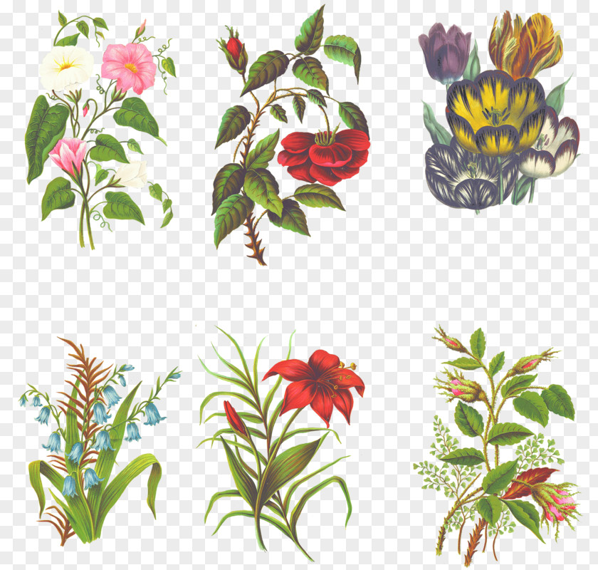 Many Leaves Floral Design Cut Flowers Art PNG