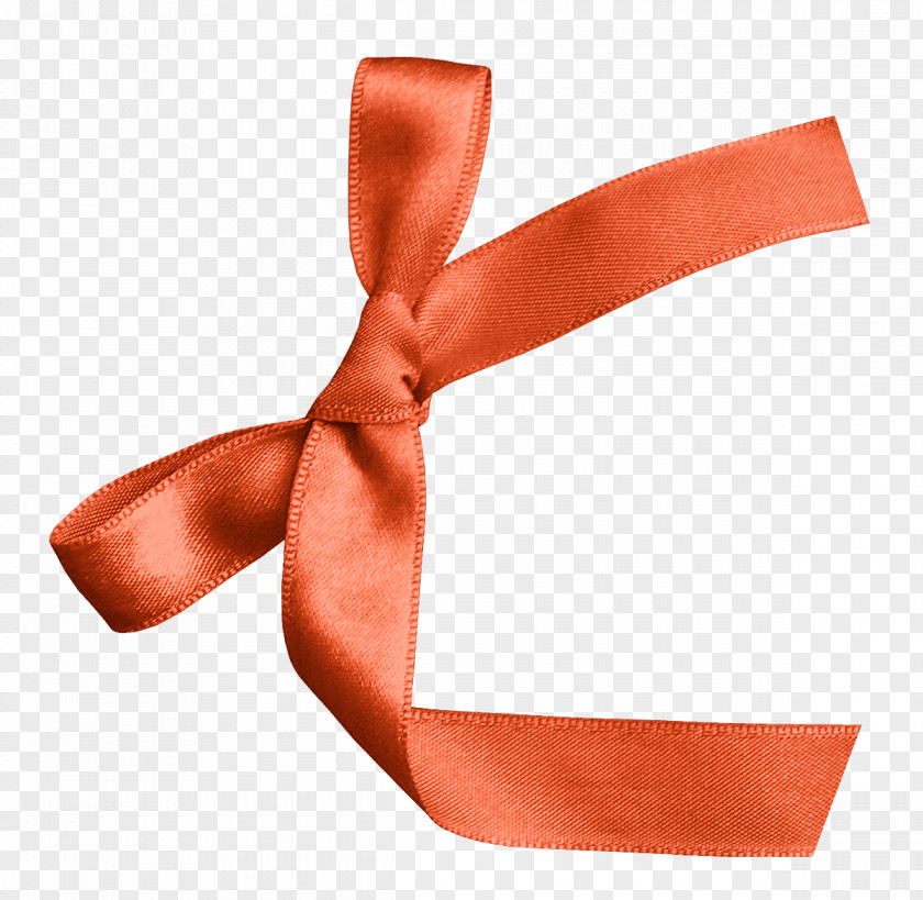 Bow Orange Ribbon PNG
