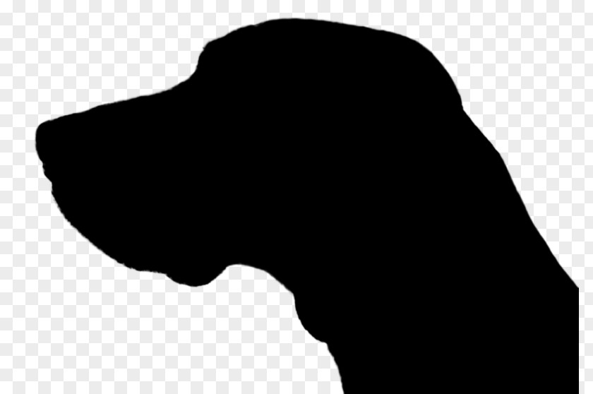 Dog Canidae Nose Mammal Silhouette PNG
