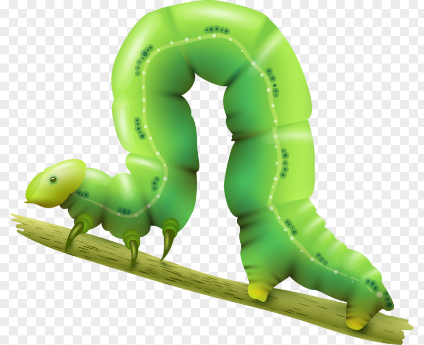 Cyan Insects Caterpillar Inc. Clip Art PNG