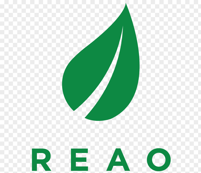 Leaf Logo Brand Green PNG
