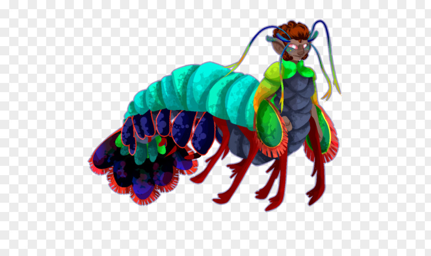 Mantis Shrimp Insect Pollinator Pest PNG