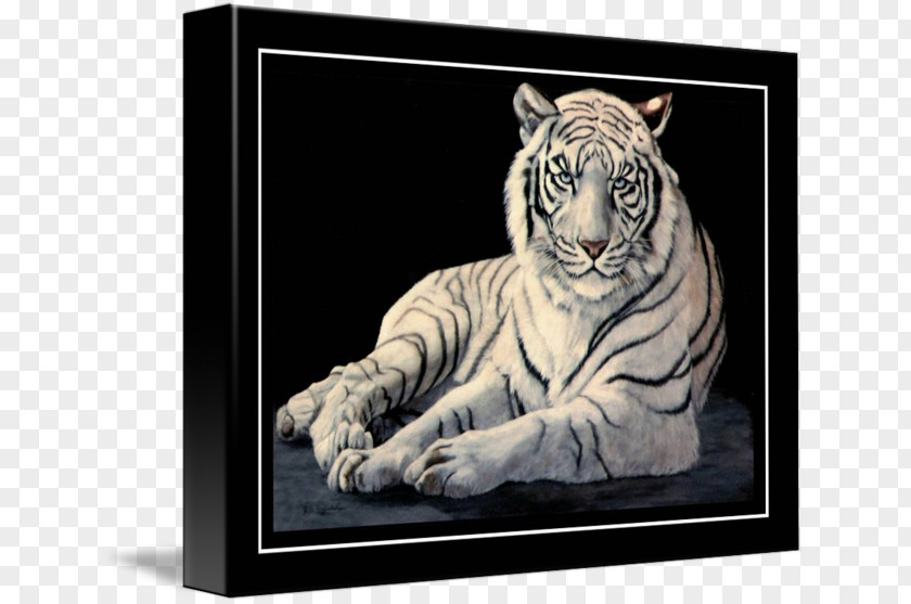 Tiger White Art Drawing Oil Painting PNG