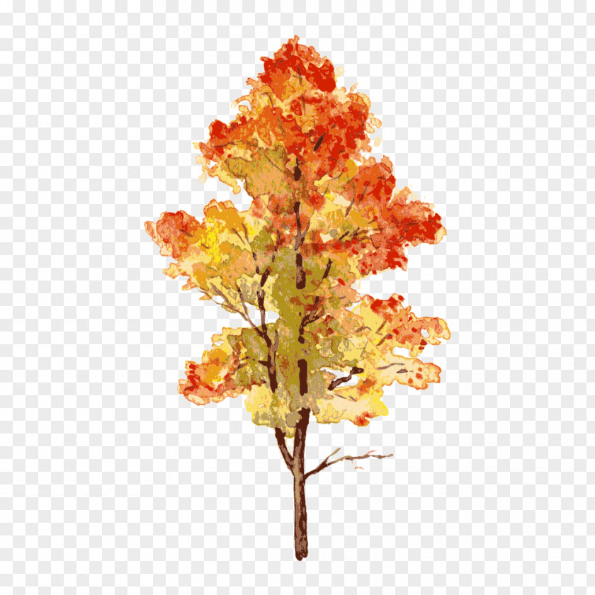 Tree,Trees Autumn Leaf PNG