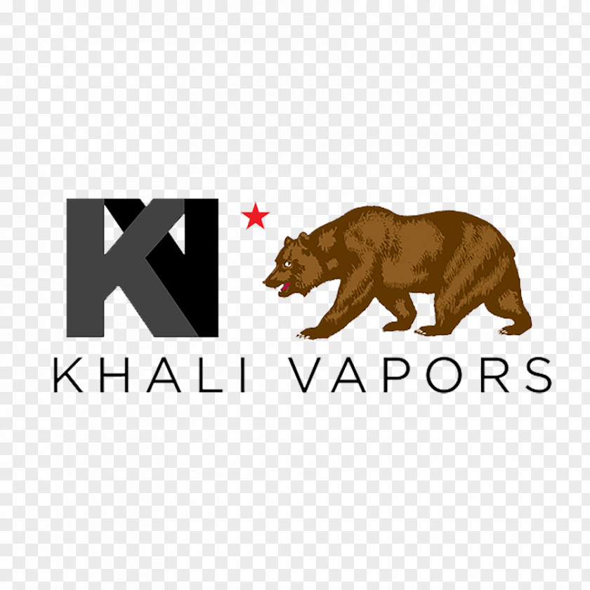 Chalk Cloud Electronic Cigarette Aerosol And Liquid Khali Vapors PNG