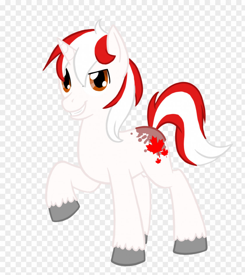 Clothes For Airing Pony Horse Canada Drawing PNG