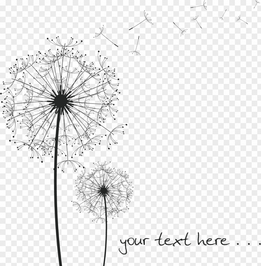 Dandelion Decoration Common Drawing Presentation Paper PNG