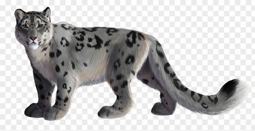 Leopard Snow Image Animal PNG