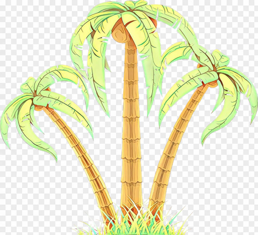 Palm Trees Plant Stem Grasses Illustration PNG