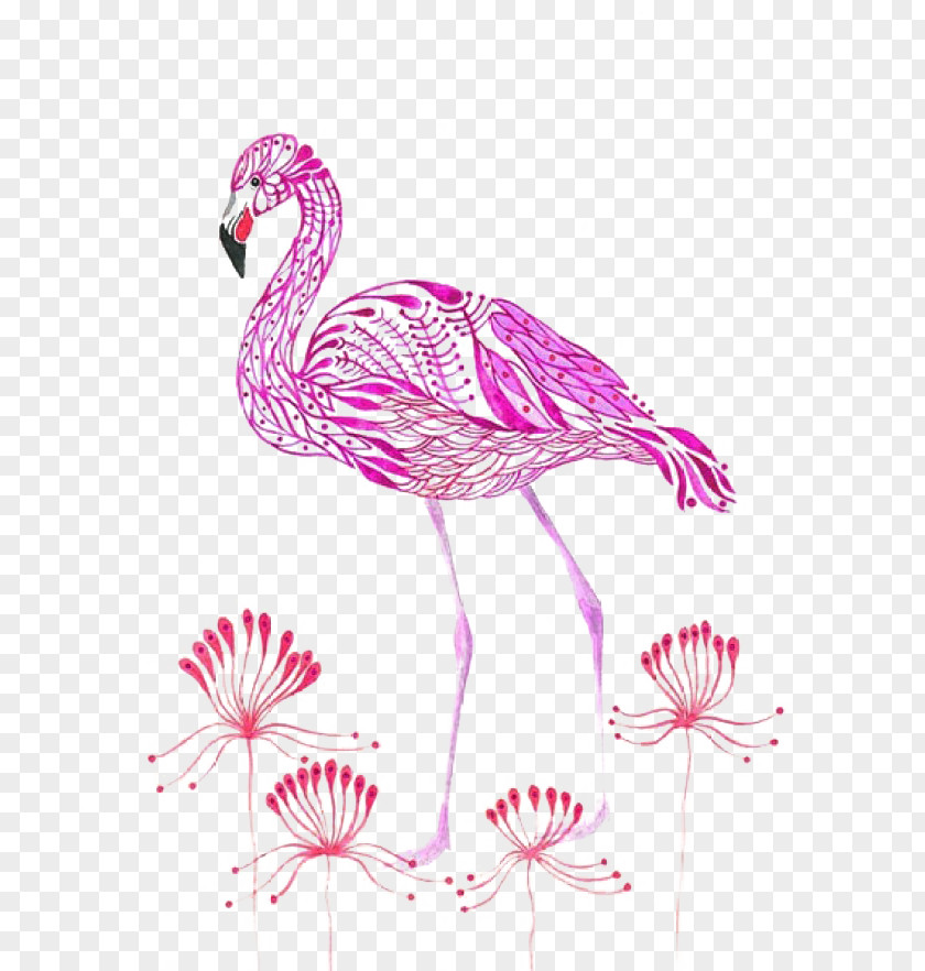 Purple Flamingo Flamingos Olya, Russia Bird Watercolor Painting Illustration PNG