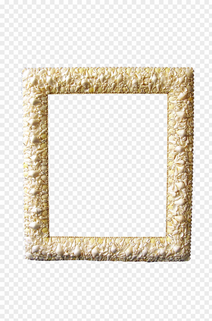 Shell Frame Picture Photography Digital Photo PNG