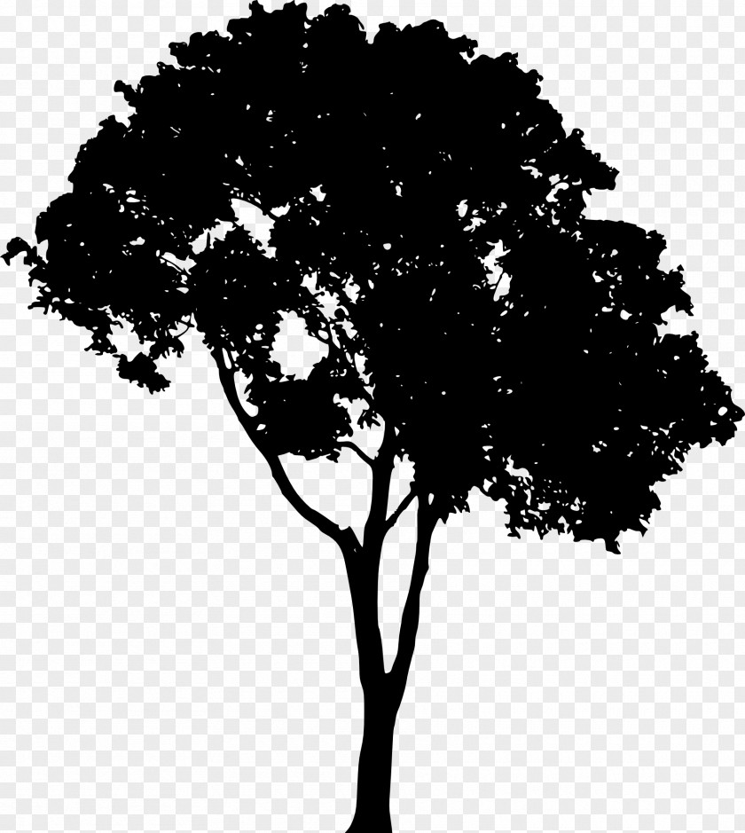 Vector Graphics Clip Art Tree Silhouette PNG