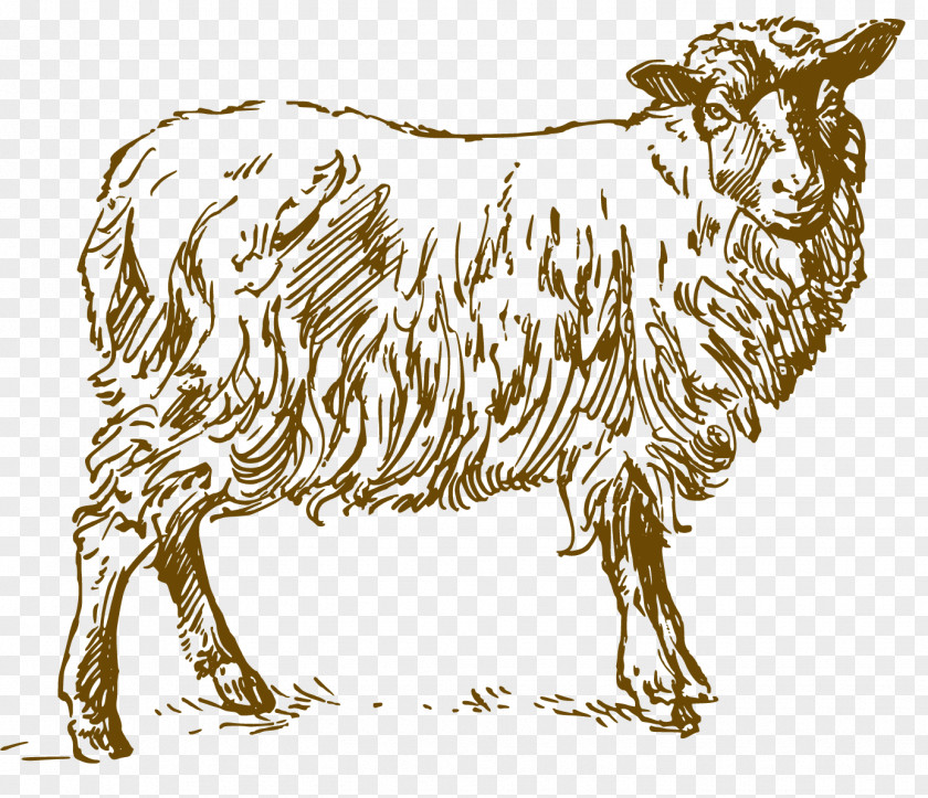 Boerd Streamer Sheep Clip Art Drawing Image PNG