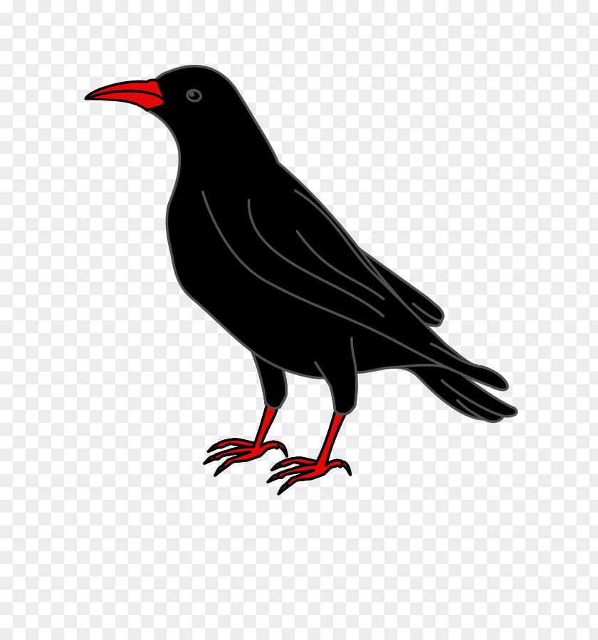 Challex American Crow Raven Coat Of Arms Wikipedia PNG