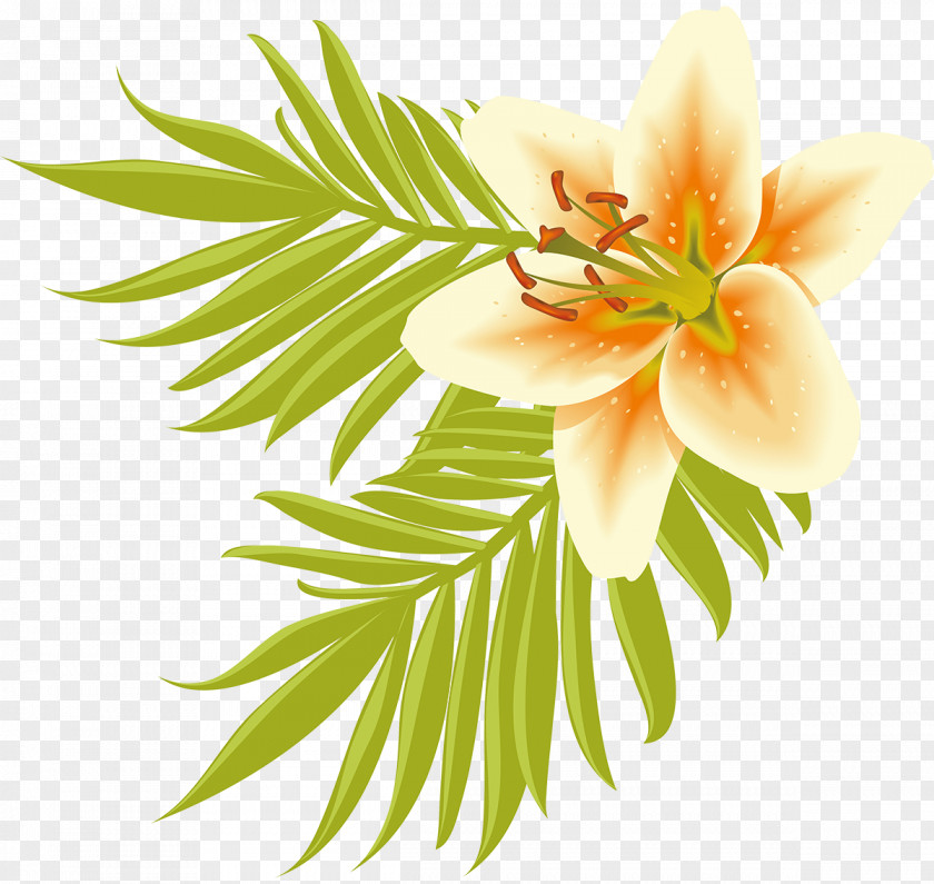 Design Floral Cut Flowers Petal PNG