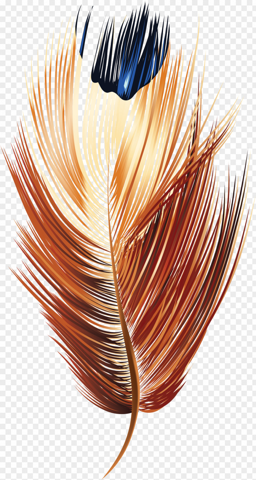 Feather Symbol PNG