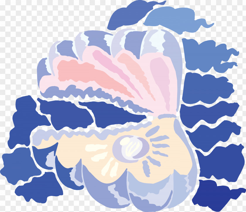 Sea Shell Clipart Fauna Clip Art PNG