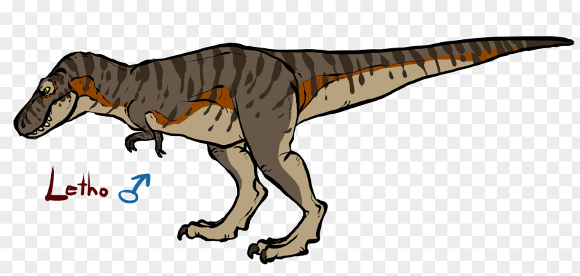 Tyrannosaurus Velociraptor Terrestrial Animal Clip Art PNG