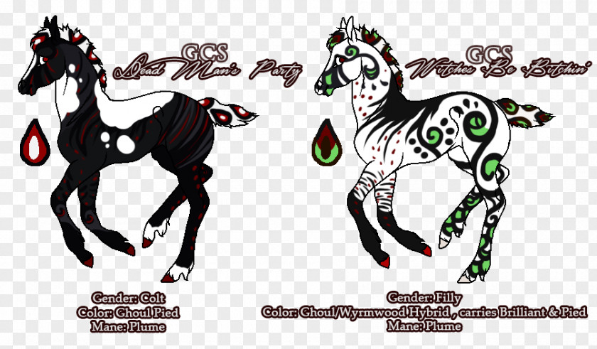 Mustang Illustration Horse Tack Pack Animal Cartoon PNG