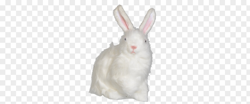 Rabbit Domestic Fur Hare Easter Bunny PNG