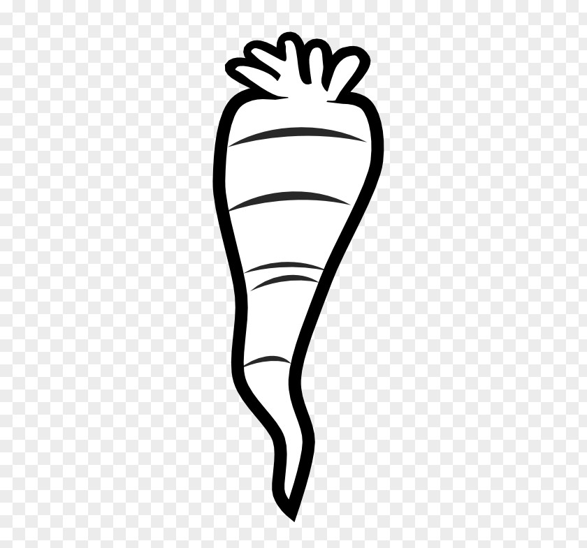 Black And White Art Pictures Carrot Arracacia Xanthorrhiza Clip PNG
