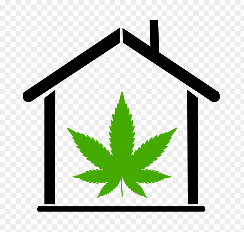 Cannabis Vector Graphics Clip Art Image PNG